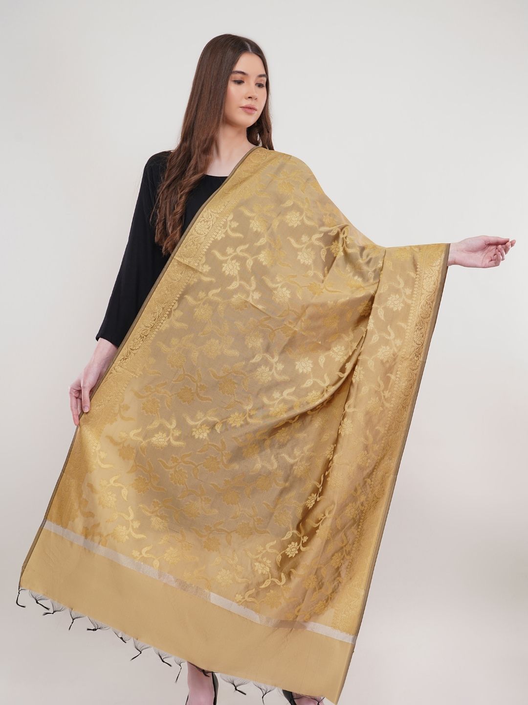 Beige Woven Design Banarasi Silk Dupatta