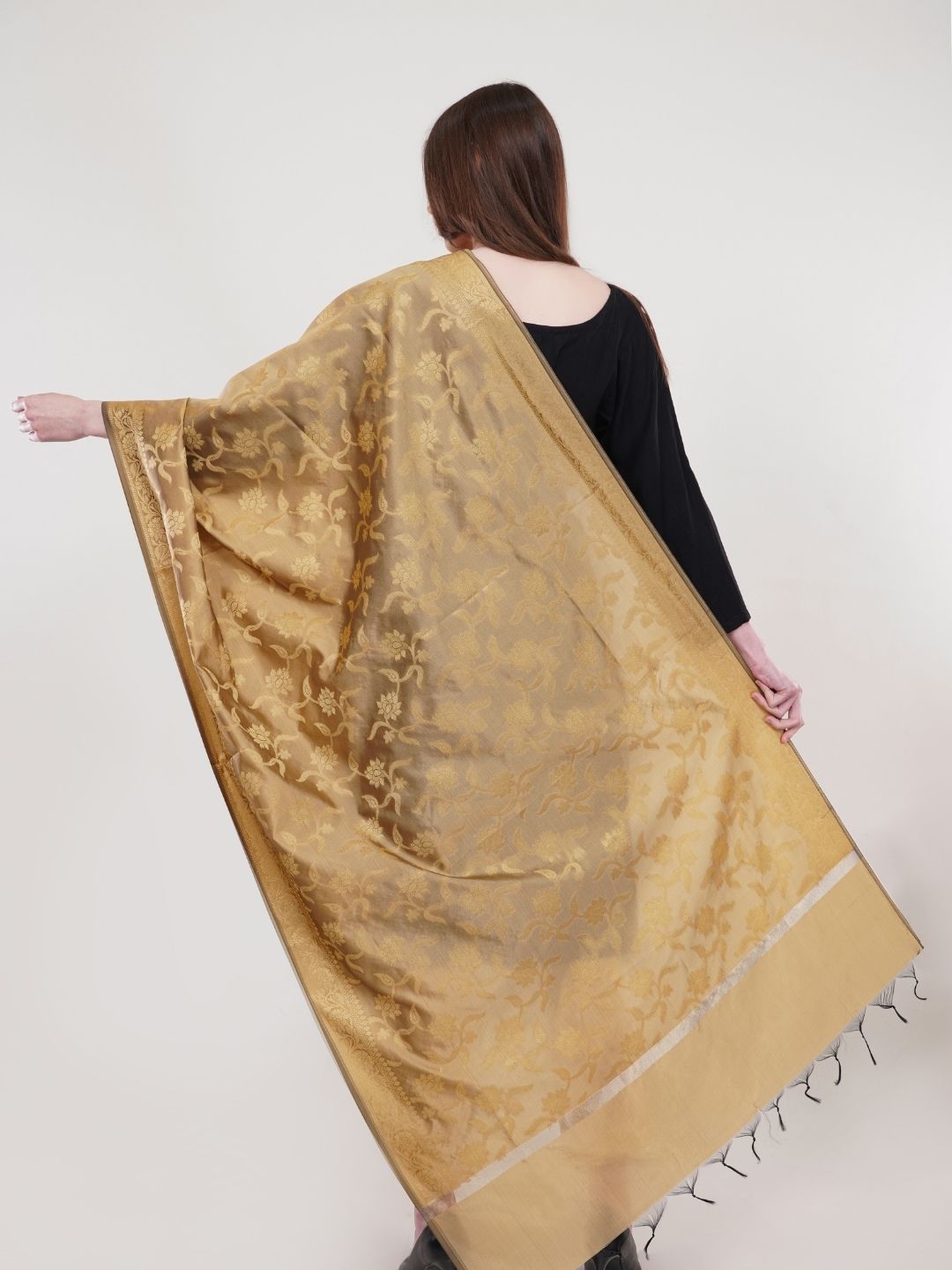 Beige Woven Design Banarasi Silk Dupatta